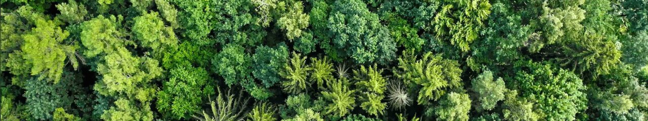 Nachhaltigkeit-Tankreinigung